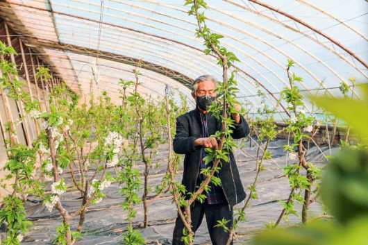 銅城復蘇：春光明媚，邀你共賞芳華（組圖）