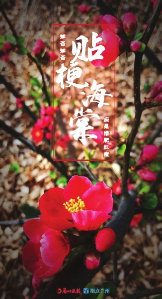 來，跟這些美美的花朵認識一下！