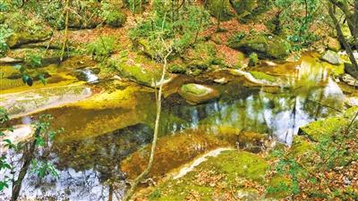 甘肅旅游丨八福溝，西秦嶺深處的水韻秘境