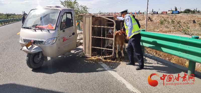 涼州交警及時(shí)救援側(cè)翻車輛 保道路暢通人員安全（圖）