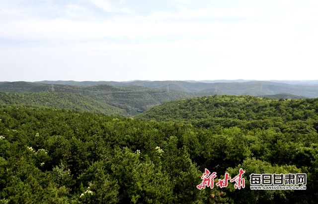 【甘肅生態(tài)環(huán)保媒體行】子午嶺深處，一家三代人用生命守護(hù)黃土高原的“天然生態(tài)屏障”