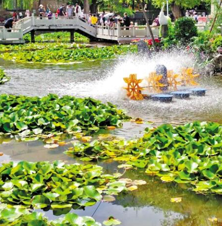 走，到五泉山公園看花展去