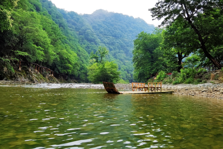 【小隴畫報·95期】康縣：來陽壩，“森”呼吸，我“氧”你