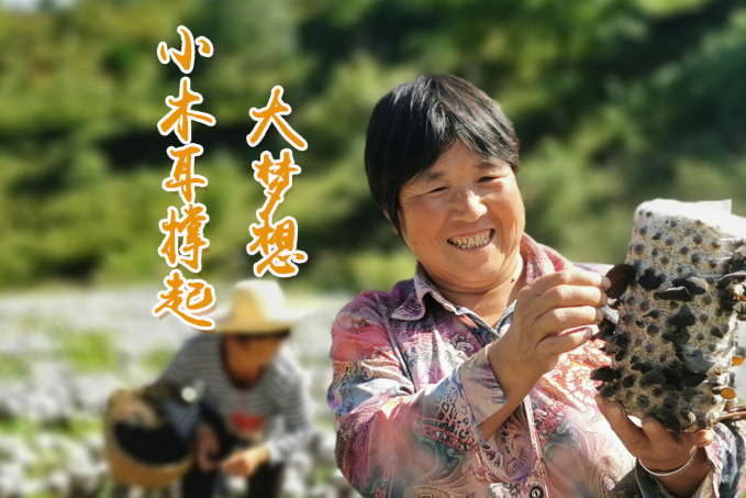 海報(bào)丨他們，乘“豐”破浪！