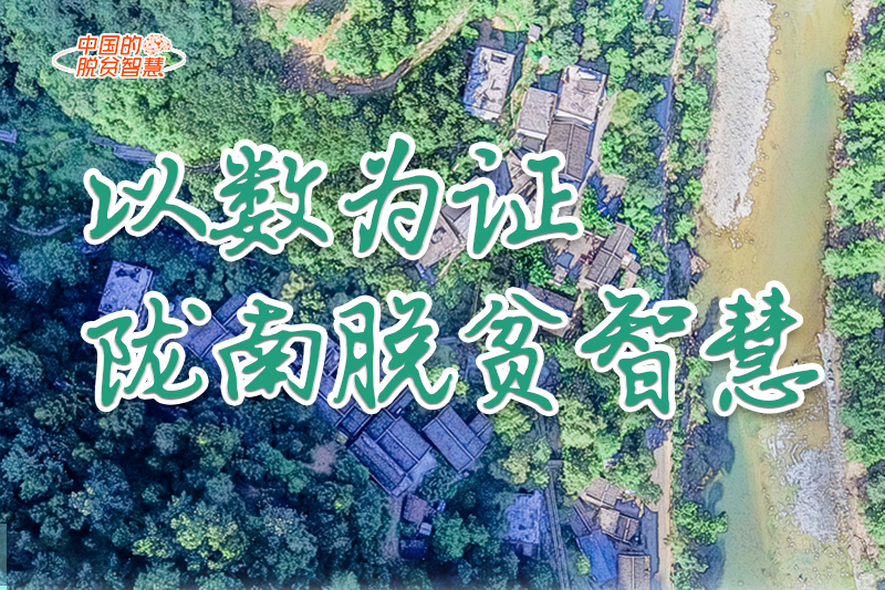 【中國(guó)的脫貧智慧】以數(shù)為證！隴南脫貧智慧來(lái)了！