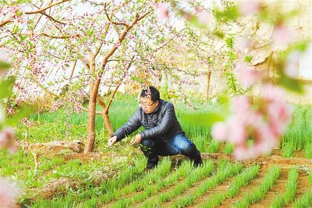 甘肅：時(shí)令催人耕種忙，不誤田間一季春