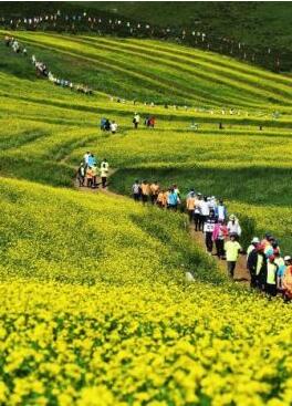 甘肅明確農(nóng)民進(jìn)城落戶(hù):不以退出承包地、林地等為條件