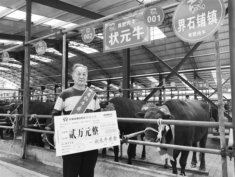 120頭“平?jīng)黾t?！膘o寧爭(zhēng)霸