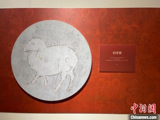 圖為展覽現(xiàn)場?！〗瓧顭?攝