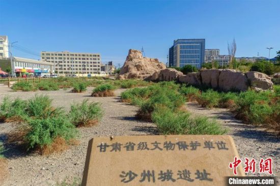 圖為沙州郡城遺址公園古遺址?！⊥醣筱y 攝