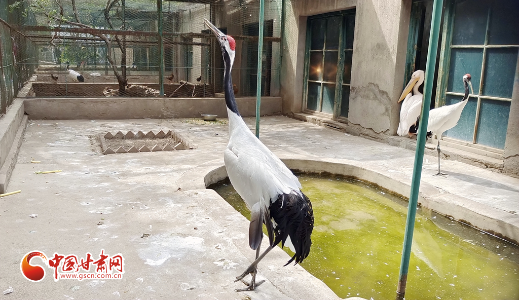 蘭州公安提醒市民：非緊急非必要，不出境