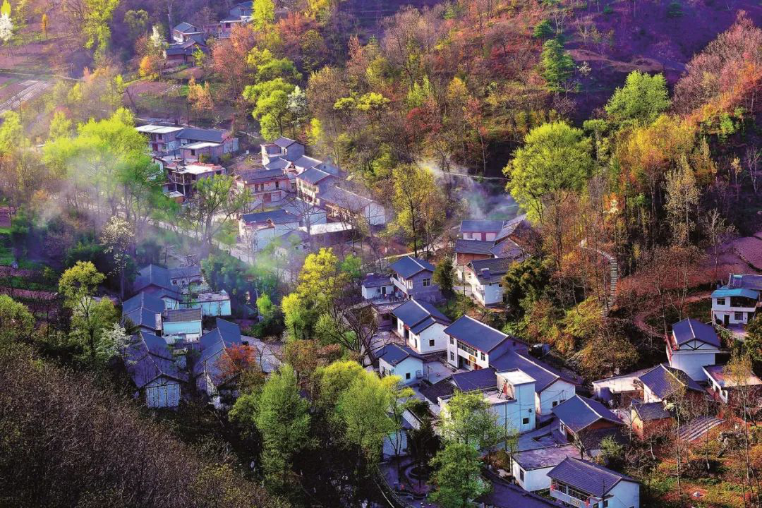 久久為功磨一劍 貧困山鄉(xiāng)綻新顏 --美麗鄉(xiāng)村建設“康縣探索”的調查與啟示