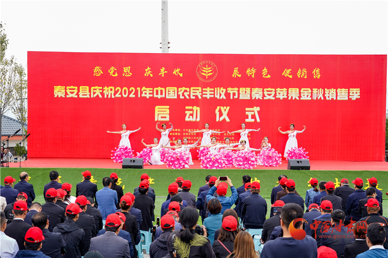 【慶豐收·感黨恩】天水秦安：豐收節(jié)曬蘋果 助力農民有個好“錢”景
