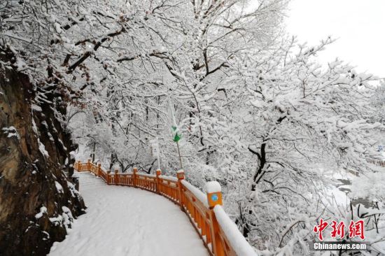 圖為上山的石階被雪覆蓋。張?zhí)鞂?攝