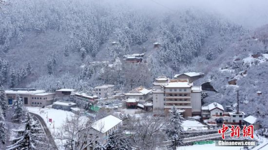 圖為籠罩在雪下的世界。吳永 攝