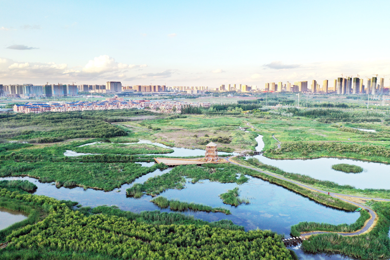 蘭州大學(xué)“實習(xí)基地”落戶蘭州新區(qū)