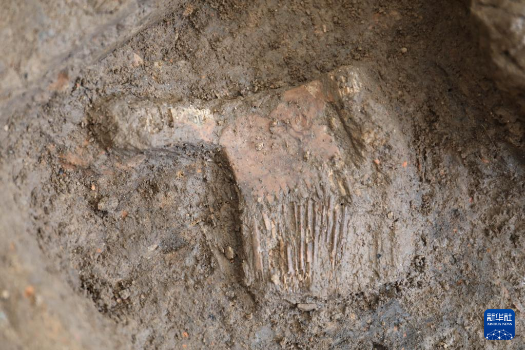 河南南陽市黃山新石器時(shí)代遺址出土的屈家?guī)X文化骨梳（資料圖）。