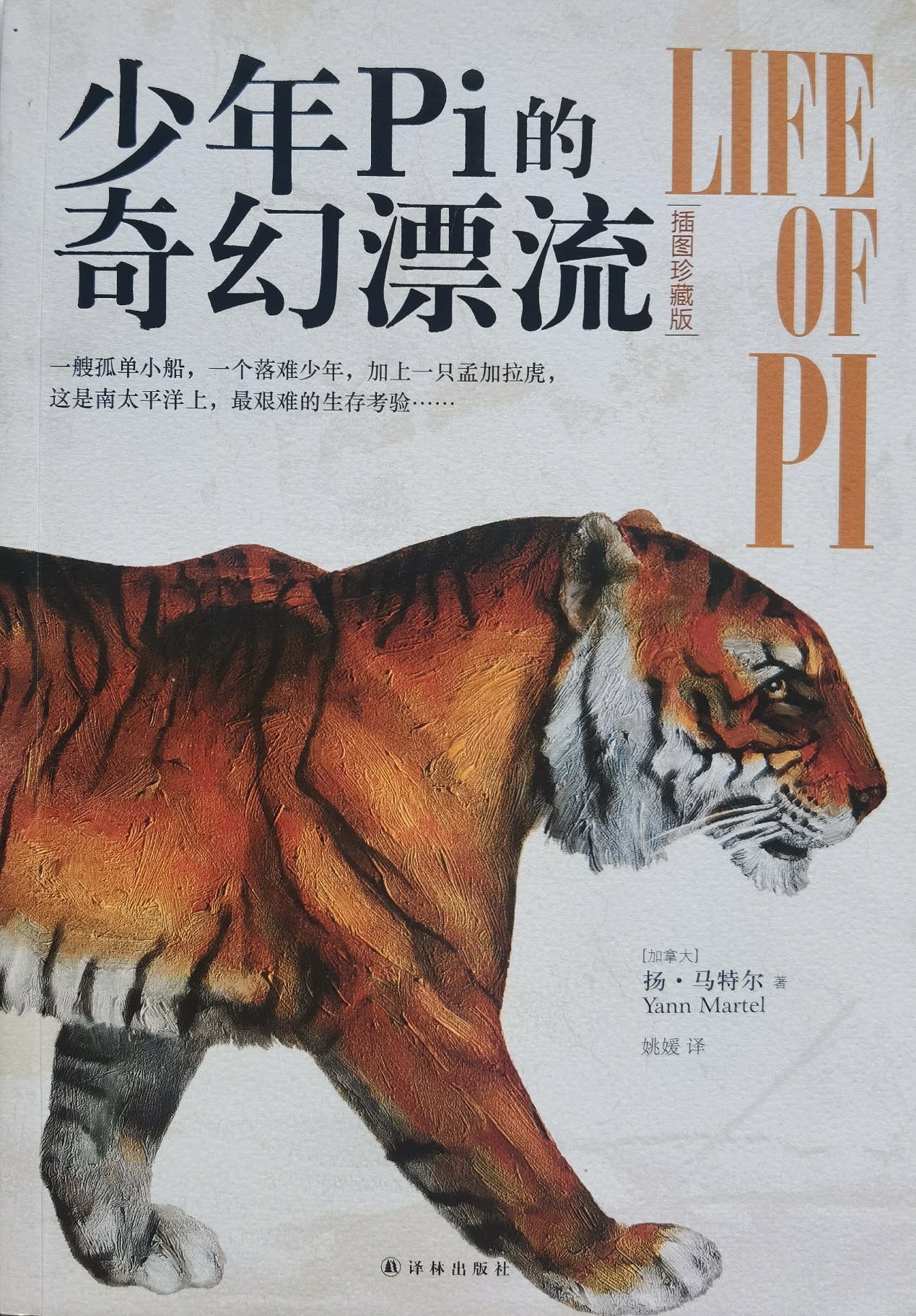 插圖1：揚？馬特爾的小說《少年pi的奇幻漂流》封面
