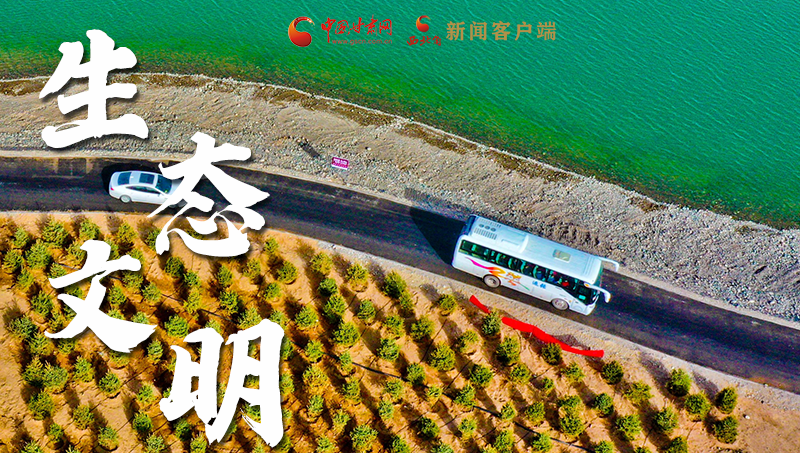 彈幕海報(bào)丨熱議甘肅省委十三屆十六次全會(huì) 網(wǎng)民聲音在回響！