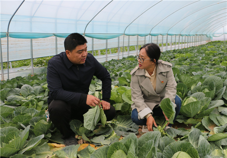 潘蕙蘭（右一）在甘肅隴之味生態(tài)農業(yè)科技有限公司走訪調研了解惠農政策落實情況。.jpg
