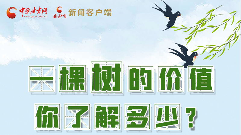 圖解|一棵樹(shù)的價(jià)值你了解多少?來(lái)看！