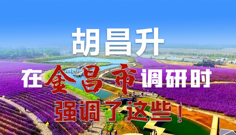 圖解|胡昌升在金昌市調(diào)研時強調(diào)了這些！
