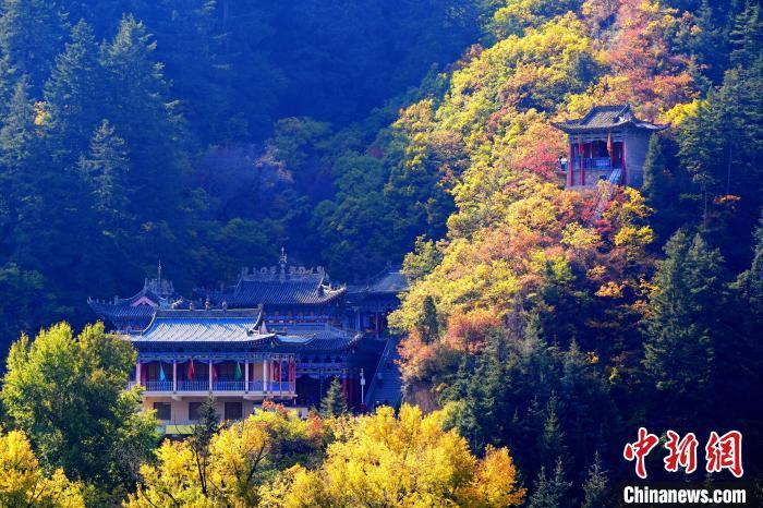 深秋，位于蘭州市榆中縣的興隆山景色如畫。宮衛(wèi)紅 攝