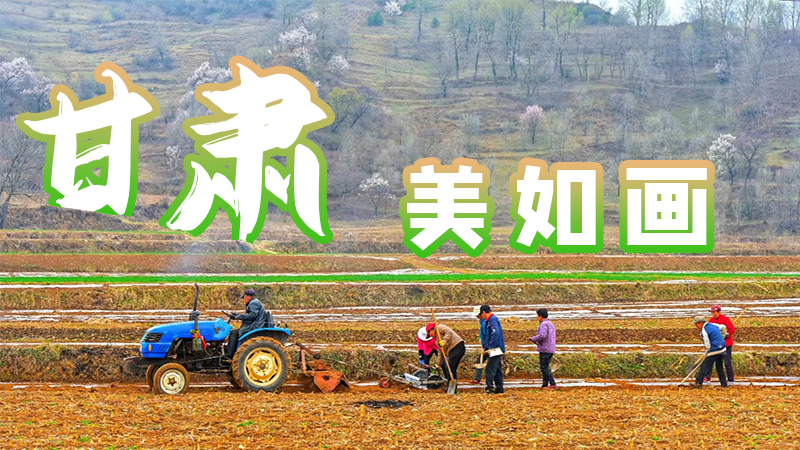 微海報|甘肅，美如畫