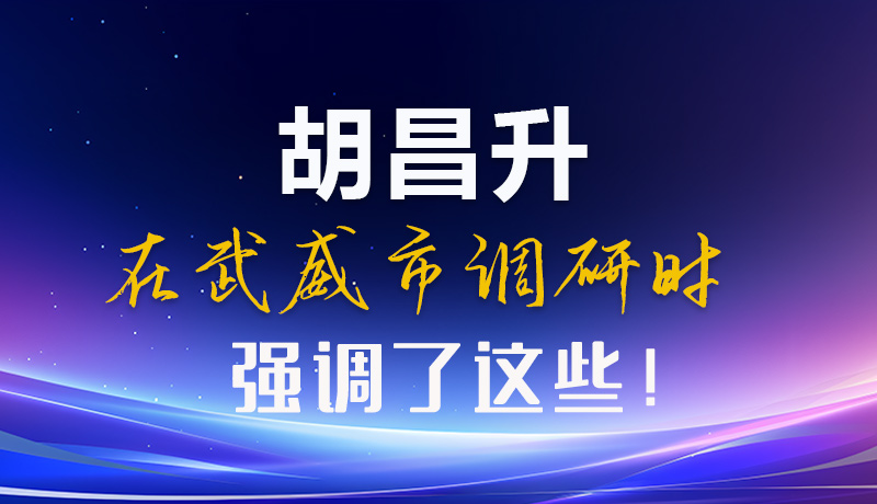 圖解|胡昌升在武威市調(diào)研時(shí)強(qiáng)調(diào)了這些！