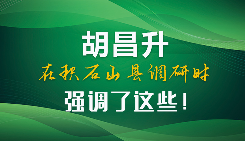 圖解|胡昌升在積石山縣調(diào)研時(shí)強(qiáng)調(diào)了這些！