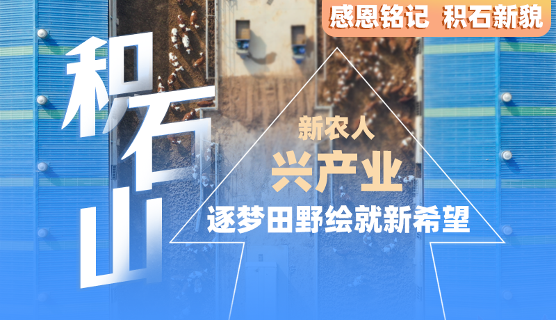 感恩銘記 積石新貌|積石山:新農(nóng)人 興產(chǎn)業(yè) 逐夢(mèng)田野繪就新希望