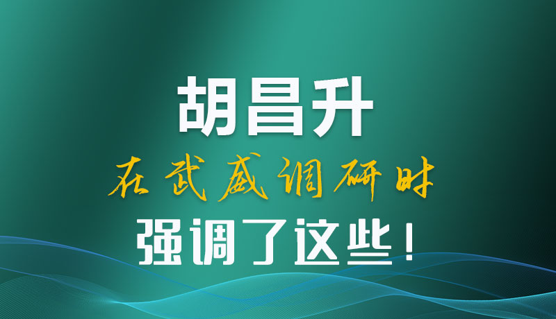 圖解|胡昌升在武威調(diào)研時強調(diào)了這些！
