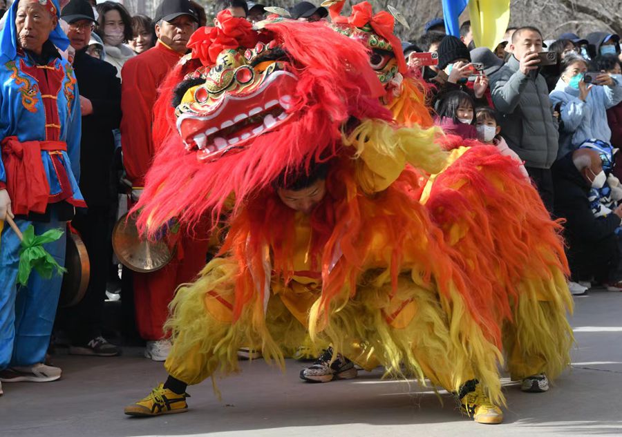 蘭州北獅表演現(xiàn)場(chǎng)。受訪者供圖