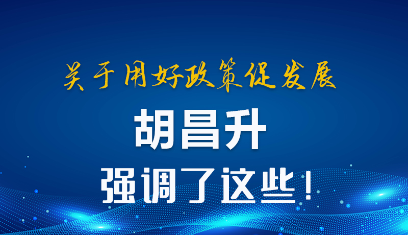 圖解|關(guān)于用好政策促發(fā)展 胡昌升強(qiáng)調(diào)了這些！