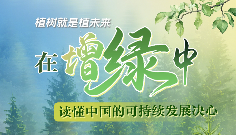 【理響中國 話隴點睛】植樹就是植未來，在增綠中讀懂中國的可持續(xù)發(fā)展決心