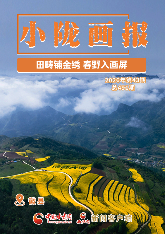 【小隴畫報·491期】徽縣：田疇鋪金繡 春野入畫屏